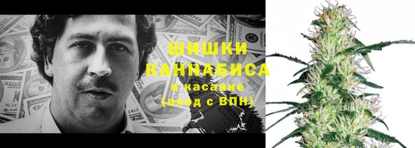 2c-b Осташков