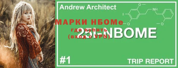 ГАЛЛЮЦИНОГЕННЫЕ ГРИБЫ Осинники