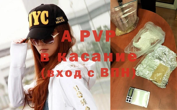 ГАЛЛЮЦИНОГЕННЫЕ ГРИБЫ Осинники