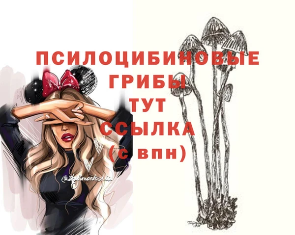 ГАЛЛЮЦИНОГЕННЫЕ ГРИБЫ Осинники