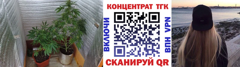 где продают   Скопин  hydra как войти  сайты даркнета как зайти  Дистиллят ТГК Wax 