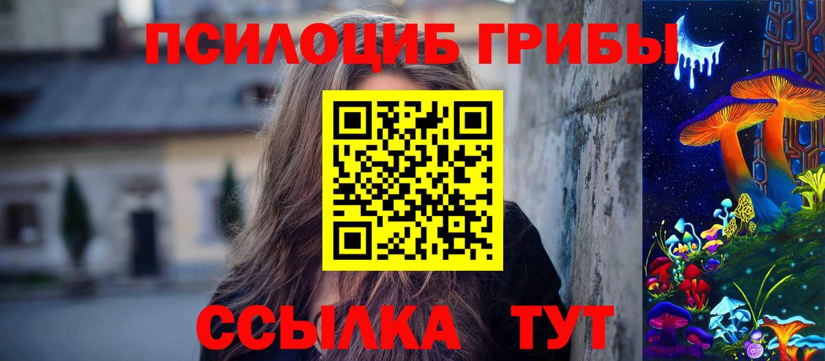Скопин  Псилоцибиновые грибы MAGIC MUSHROOMS  Вход с VPN 